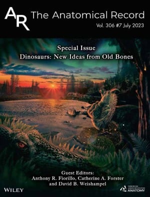 Special Issue: Turtle Evolution